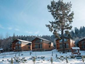 Phoenix Relax Park Bukovel